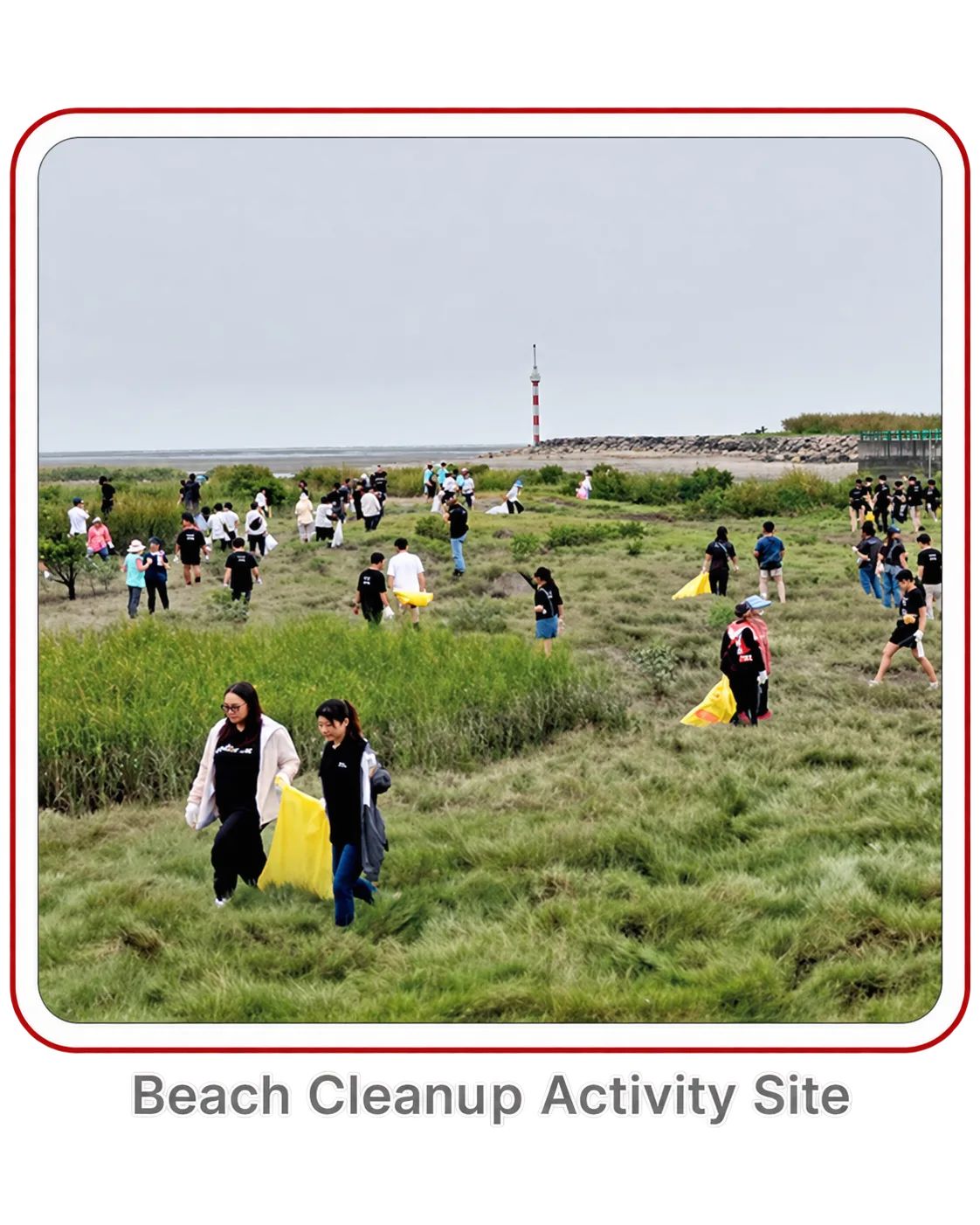 Beach Cleanup Activity Site