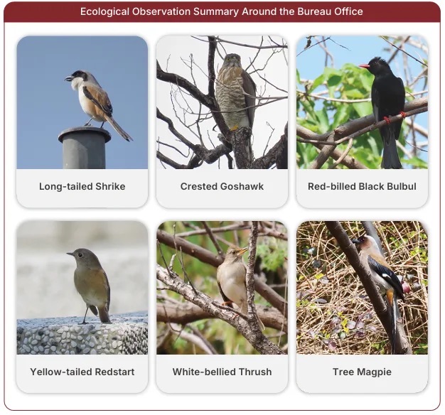 Ecological Observation Summary Around the Bureau Office