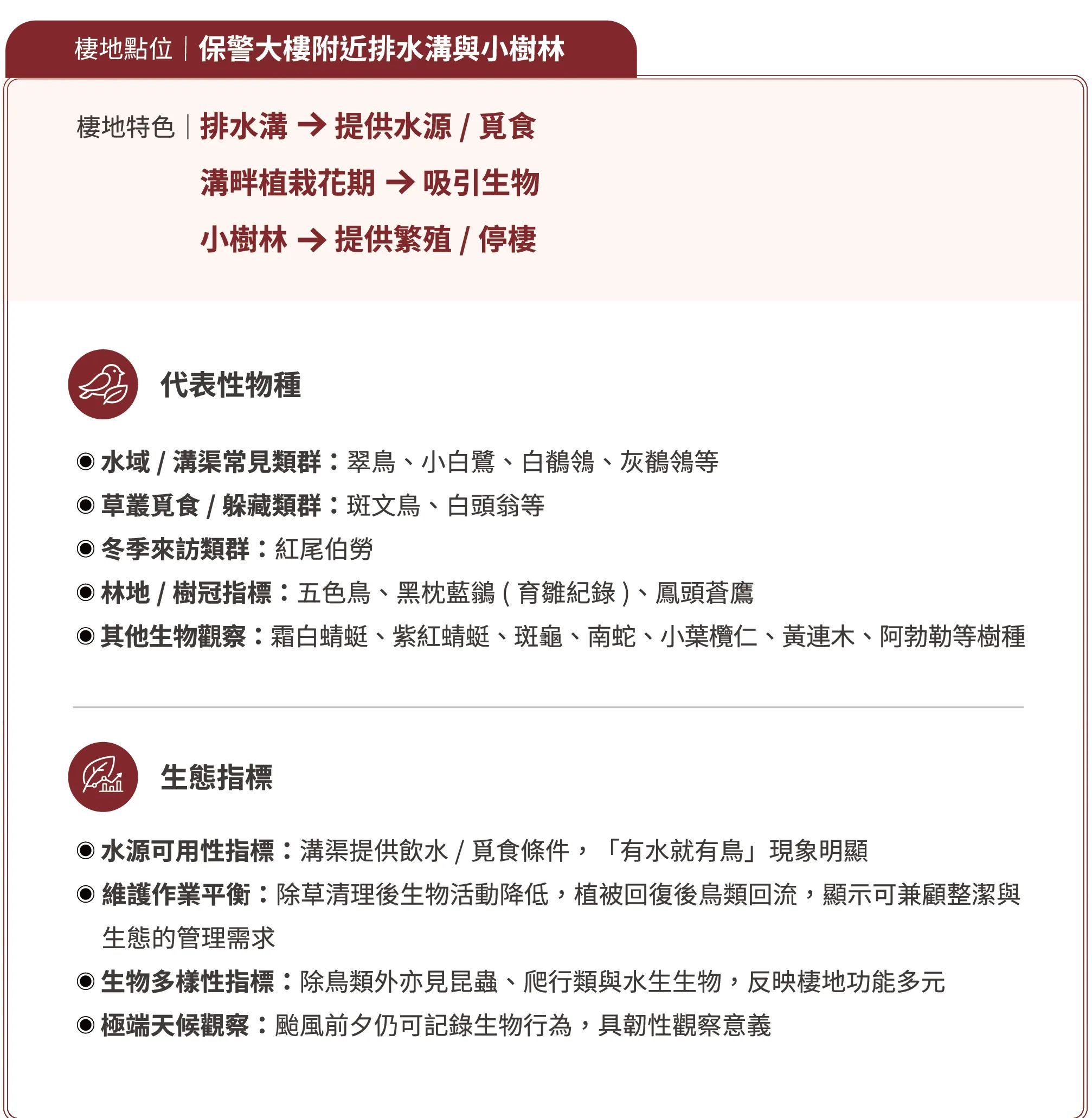 保警大樓附近排水溝與小樹林