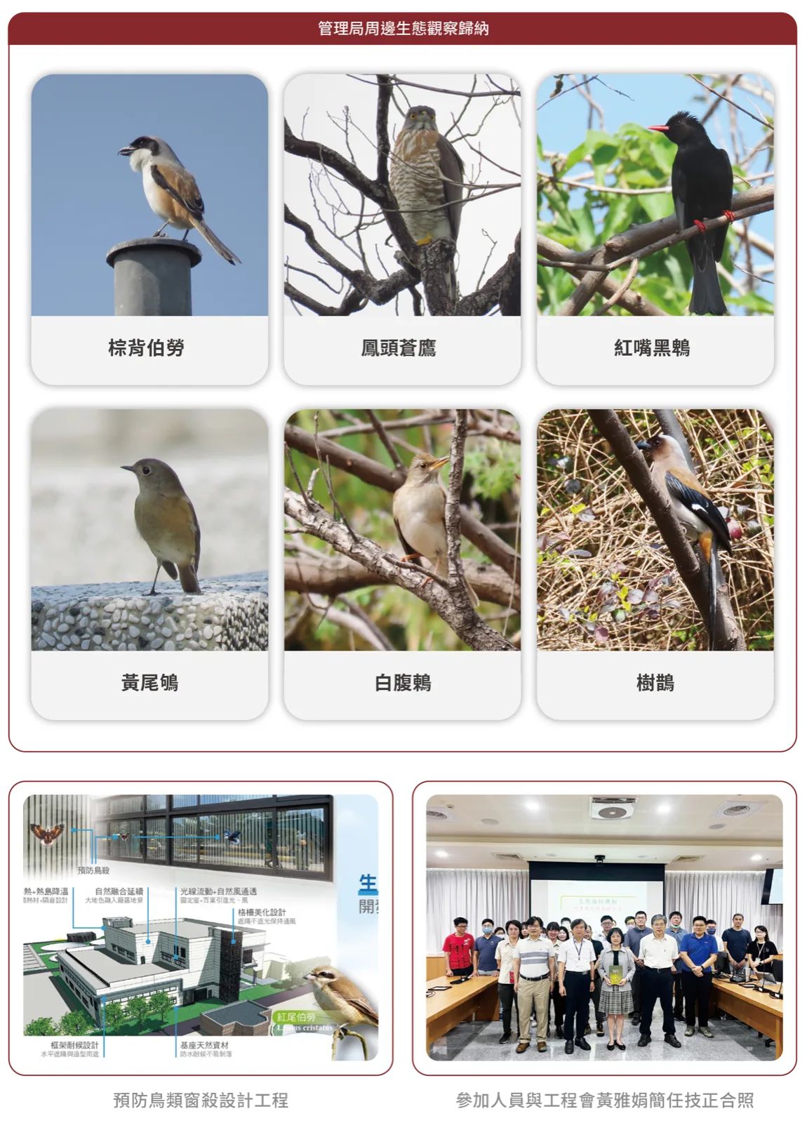 管理局周邊生態觀察